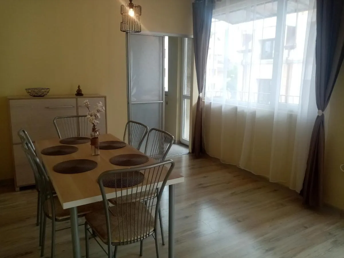 Spacious Apartment 