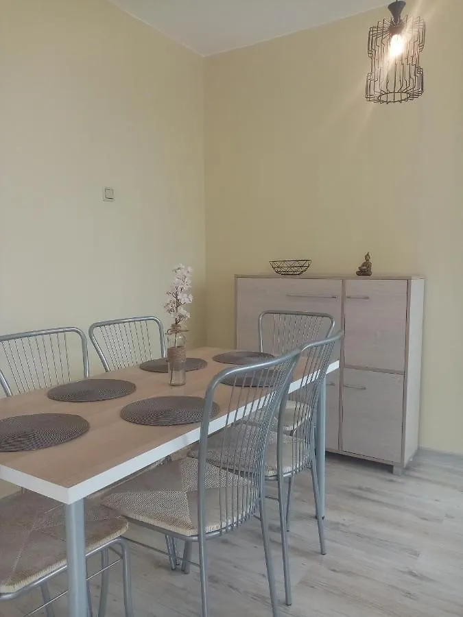 Spacious Apartment 